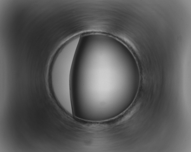 X0000089941077200706290811