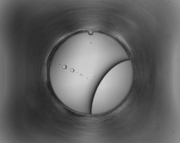 X0000089941079200706290811