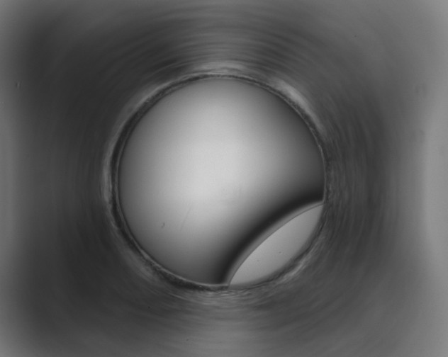 X0000089941082200706290811