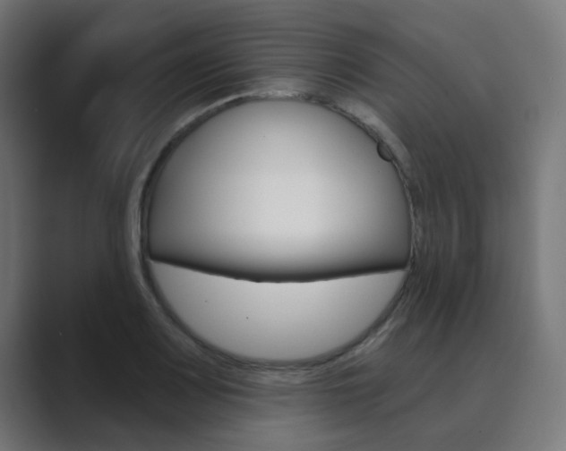 X0000089941083200706290811