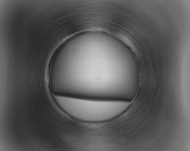 X0000089941084200706290811