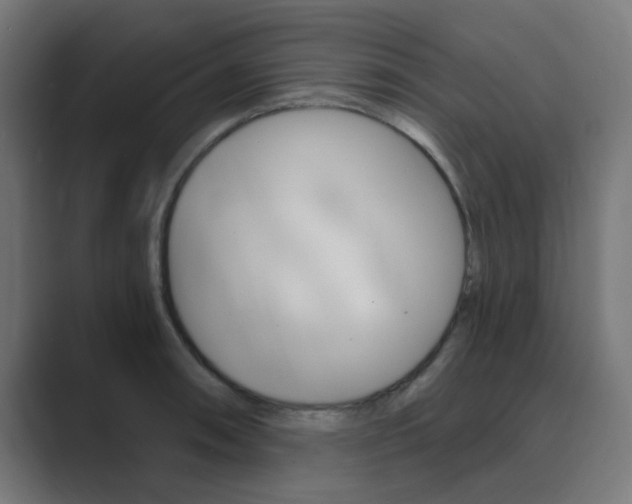 X0000089941090200706290810