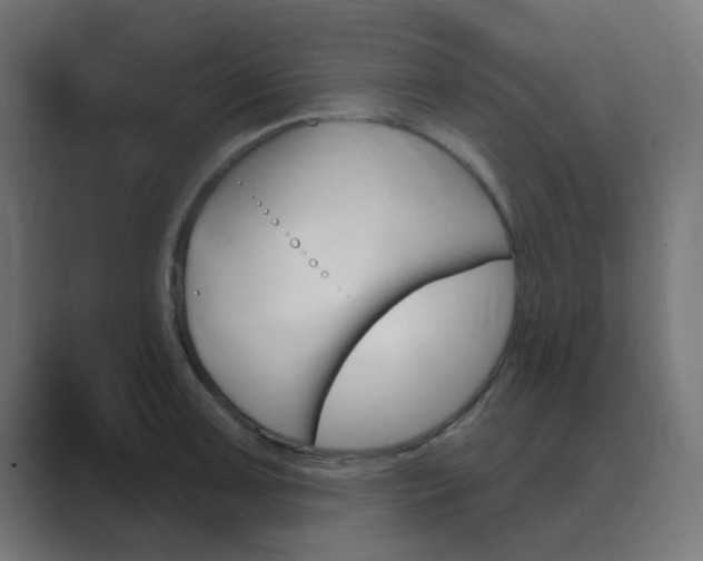 X0000089941091200706290810