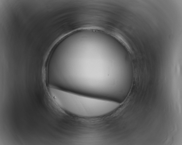 X0000089941092200706290810