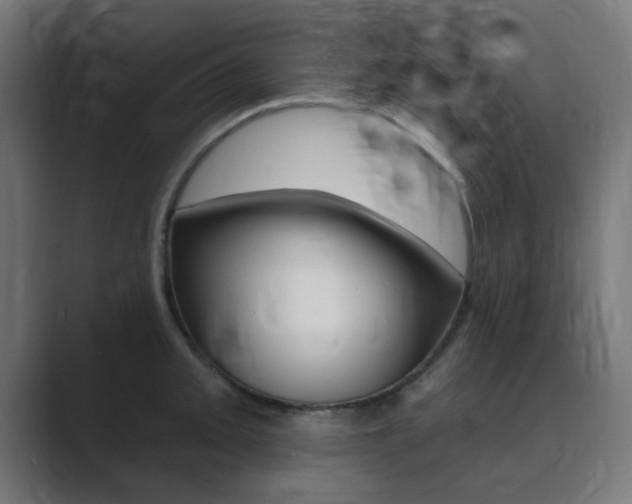 X0000089941093200706290810