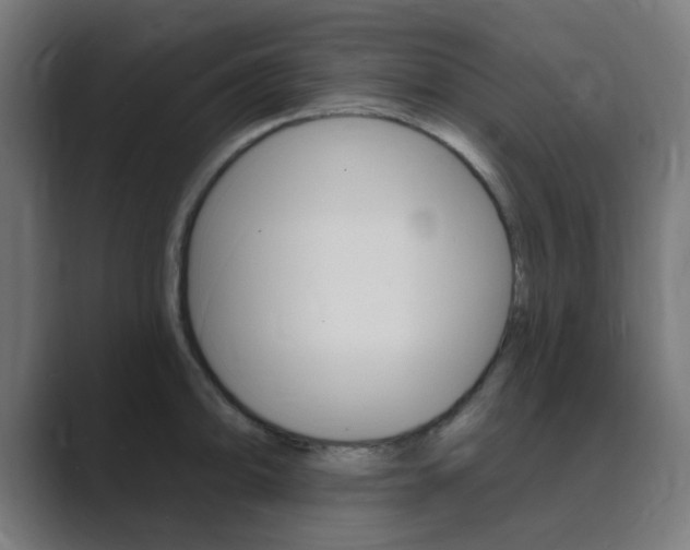 X0000089941094200706290810