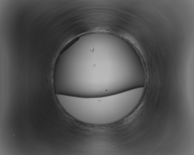 X0000089941097200706290810