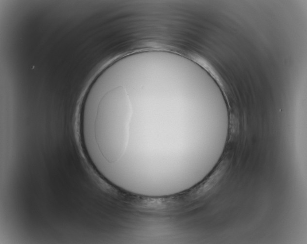 X0000089941098200706290810