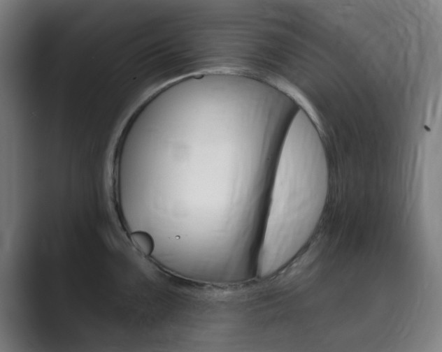 X0000089941099200706290810
