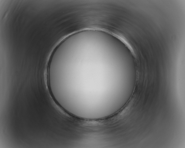 X0000089941100200706290810