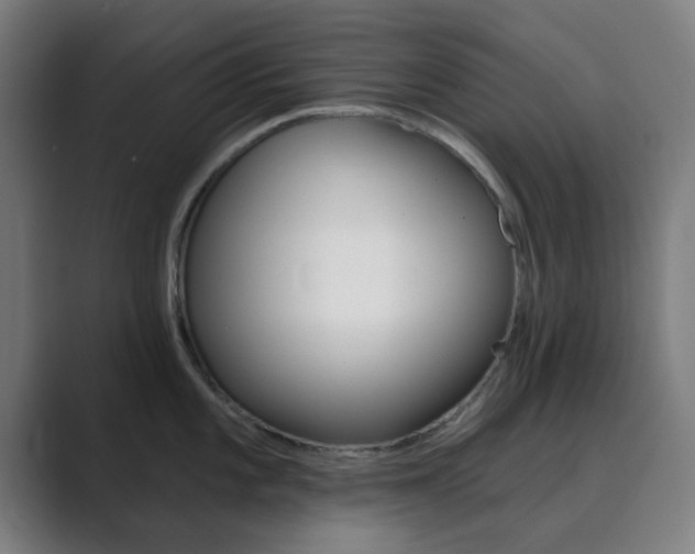 X0000089941101200706290810