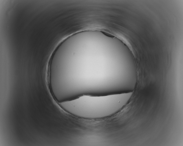 X0000089941103200706290810