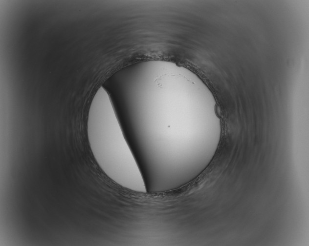 X0000089941106200706290810