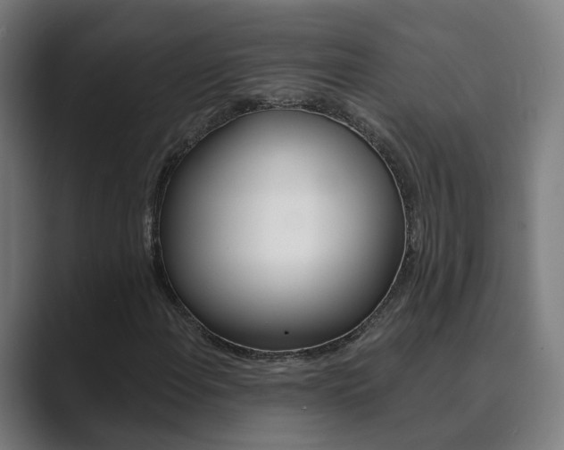 X0000089941108200706290810