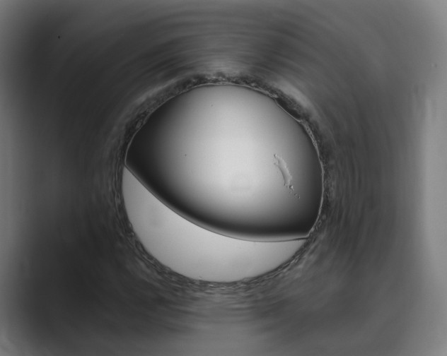X0000089941112200706290810