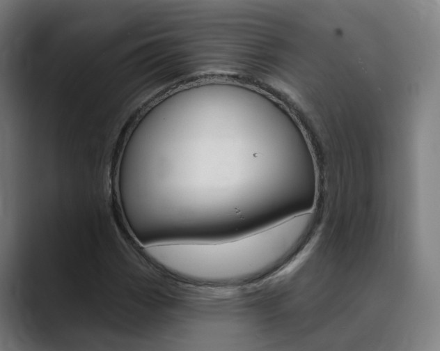 X0000089941113200706290810