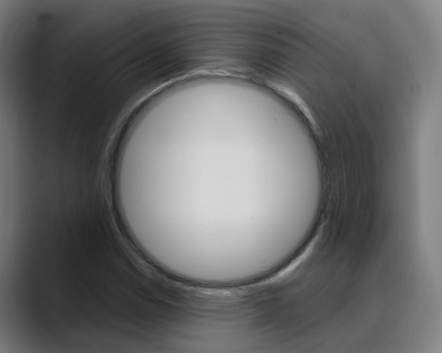 X0000089941114200706290810