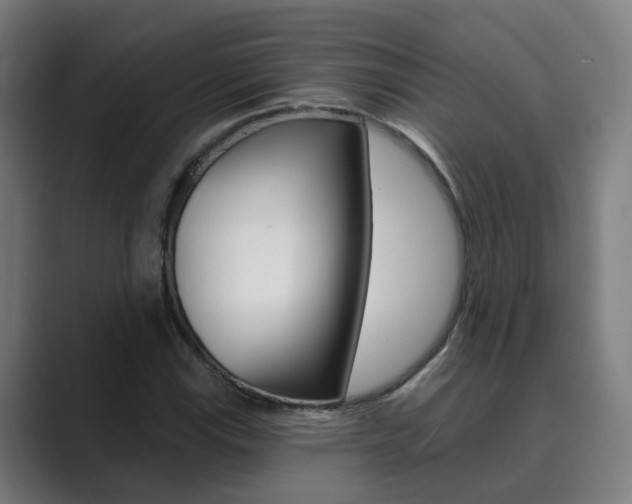 X0000089941115200706290810