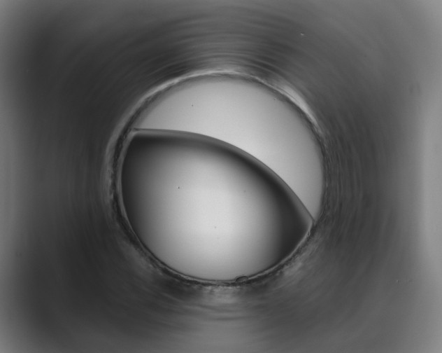 X0000089941116200706290810