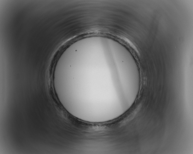 X0000089941117200706290810