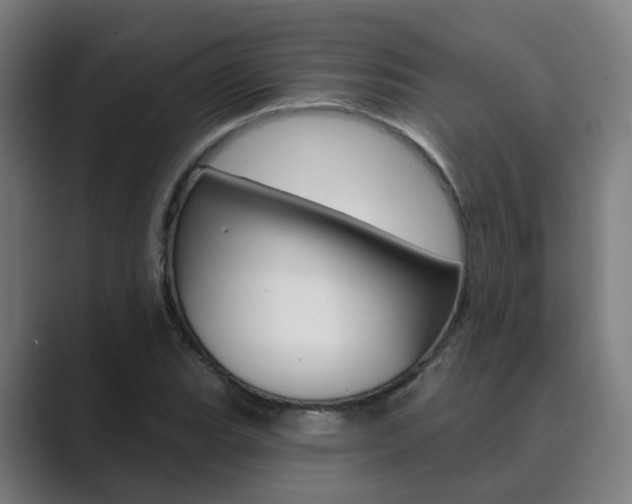 X0000089941119200706290810