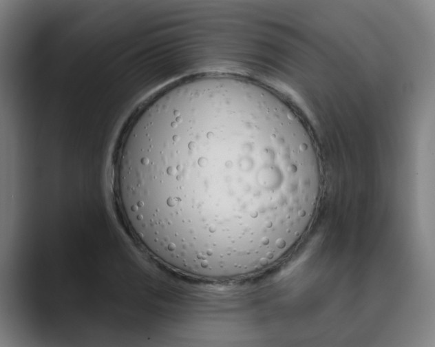 X0000089941125200706290810