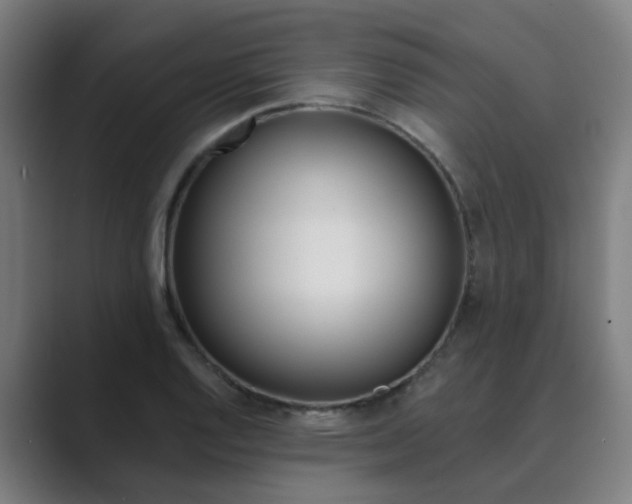 X0000089941128200706290810