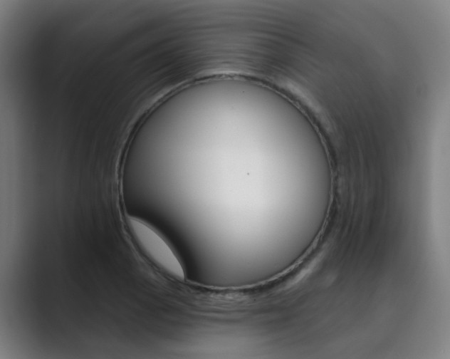 X0000089941129200706290810