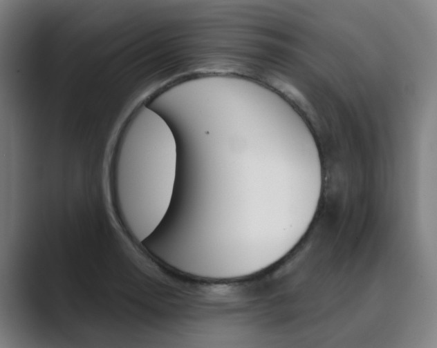X0000089941130200706290810