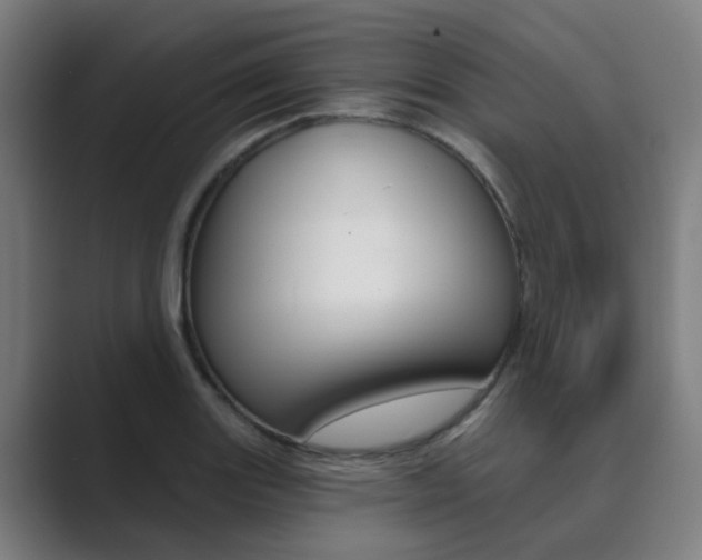 X0000089941131200706290810