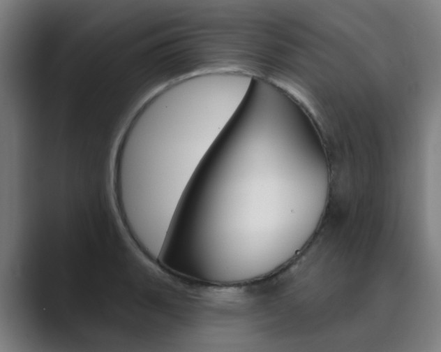 X0000089941135200706290810