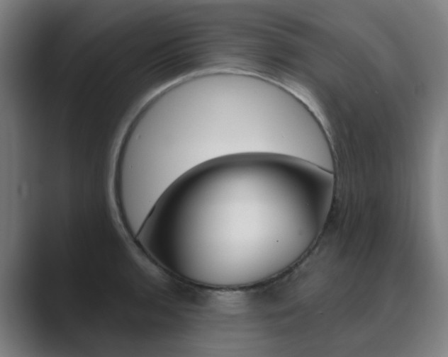 X0000089941136200706290810