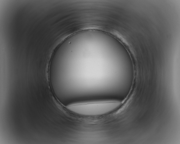 X0000089941137200706290810