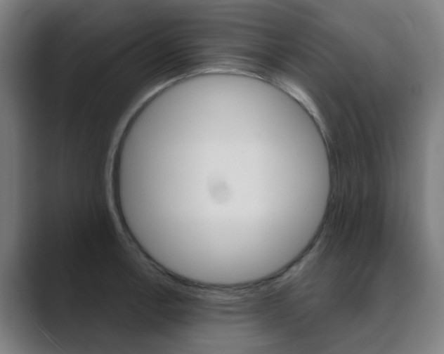 X0000089941138200706290810