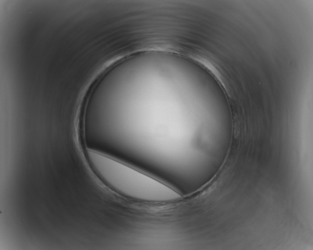 X0000089941139200706290810