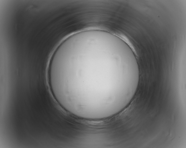 X0000089941140200706290810