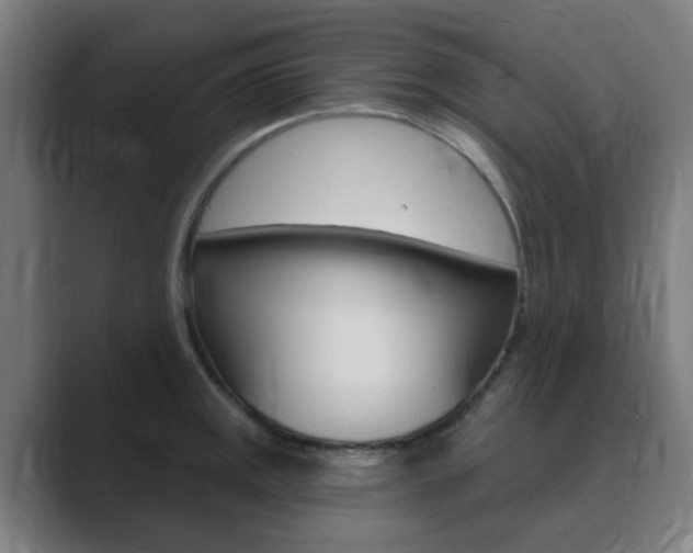 X0000089941141200706290810