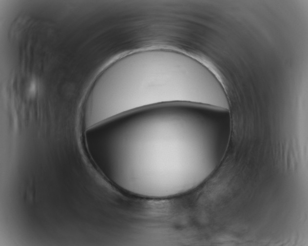 X0000089941142200706290810