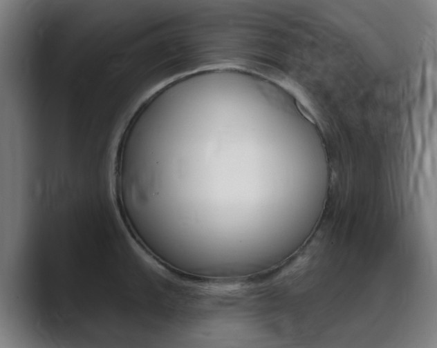 X0000089941143200706290810