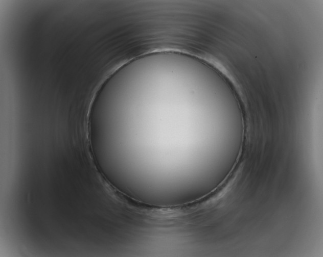 X0000089941145200706290810