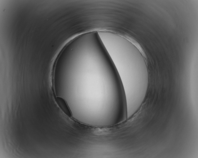 X0000089941148200706290810
