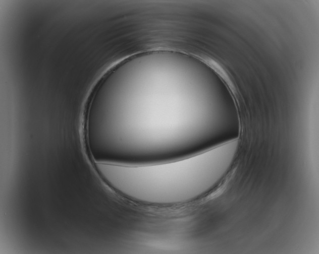 X0000089941149200706290810
