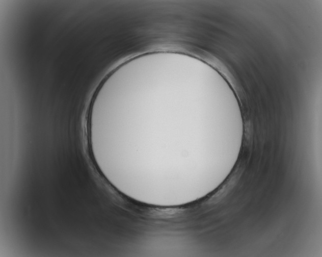 X0000089941150200706290810