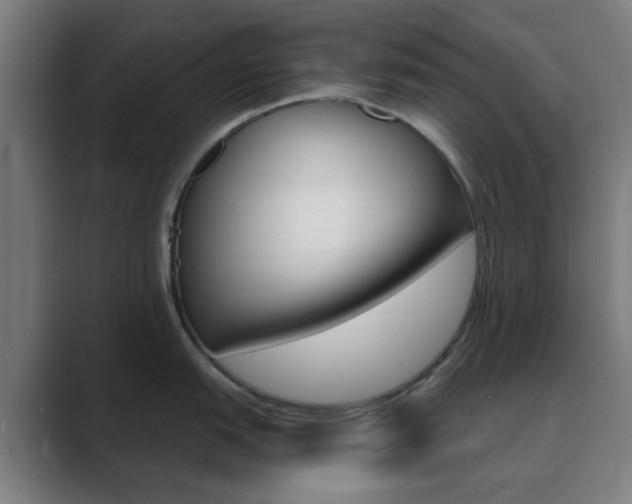 X0000089941151200706290810