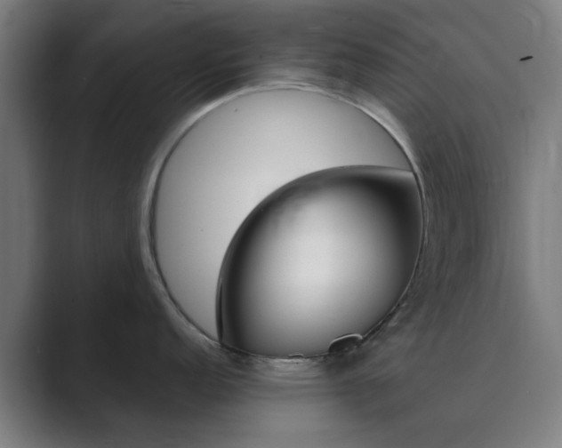X0000089941152200706290810