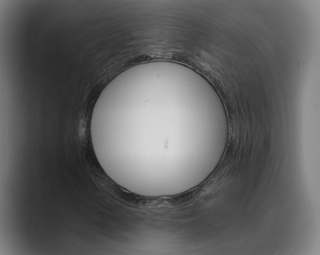 X0000089941154200706290810