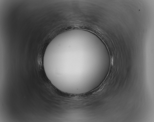 X0000089941155200706290810
