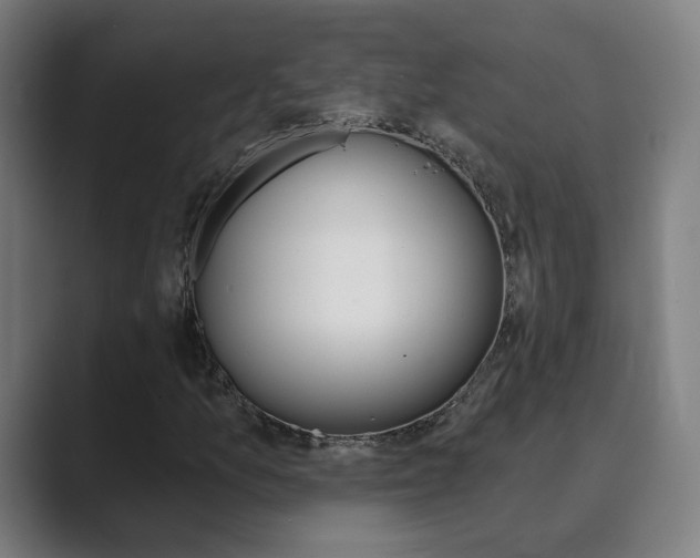 X0000089941157200706290810