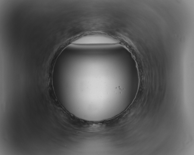 X0000089941160200706290810