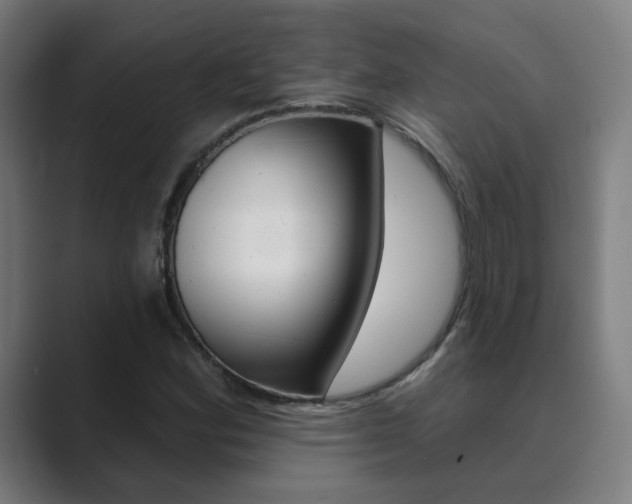 X0000089941164200706290809